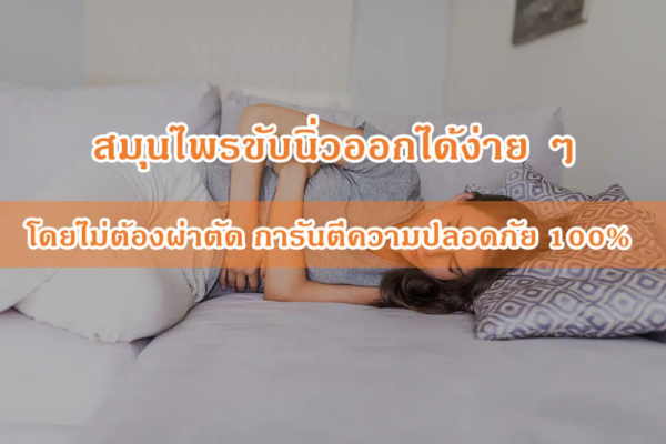 [อาวุธลับ] สมุนไพรขับนิ่วออกได้ง่าย ๆ โดยไม่ต้องผ่าตัด การันตีความปลอดภัย 100%