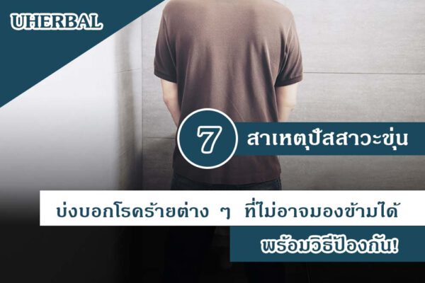 7 สาเหตุปัสสาวะขุ่น บ่งบอกโรคร้ายต่าง ๆ ที่ไม่อาจมองข้ามได้ พร้อมวิธีป้องกัน!