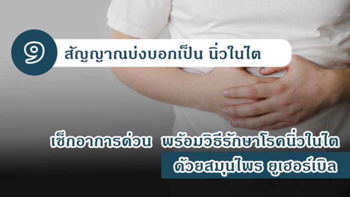 9 สัญญาณบ่งบอกเป็น นิ่วในไต เช็กอาการด่วน พร้อมวิธีรักษาโรคนิ่วในไต ด้วยสมุนไพร ยูเฮอร์เบิล