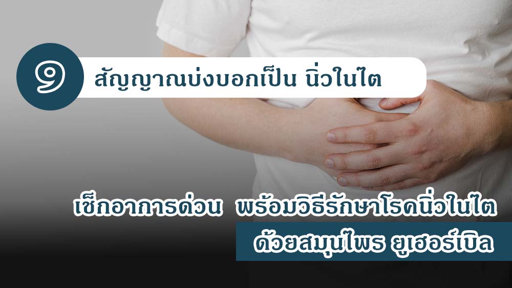 9 สัญญาณบ่งบอกเป็น นิ่วในไต เช็กอาการด่วน พร้อมวิธีรักษาโรคนิ่วในไต ด้วยสมุนไพร ยูเฮอร์เบิล