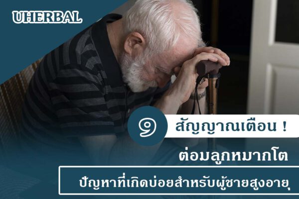 9 สัญญาณเตือน ! ต่อมลูกหมากโต ปัญหาที่เกิดบ่อยสำหรับผู้ชายสูงอายุ