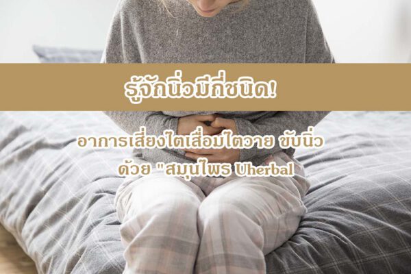 รู้จักนิ่วมีกี่ชนิด! อาการเสี่ยงไตเสื่อมไตวาย ขับนิ่ว ด้วย “สมุนไพร UHERBAL