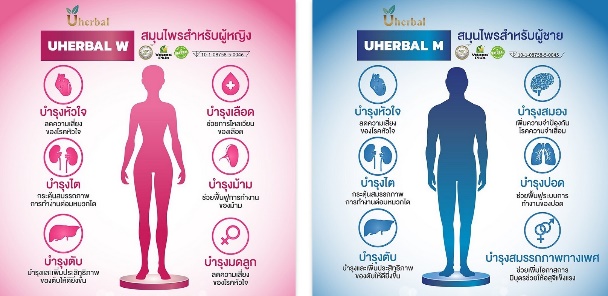 Uherbal ผลิตภัณฑ์เสริมอาหาร ยับยั้งโรคร้ายของวัยทำงาน !