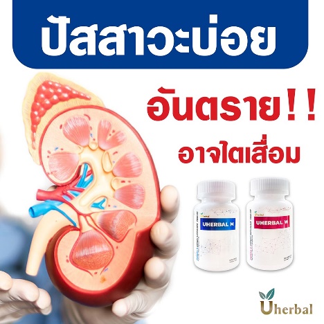 โรคไตวายเฉียบพลัน (Acute Kidney Injury)
