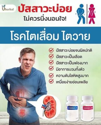 โรคไตเสื่อม ไตวาย